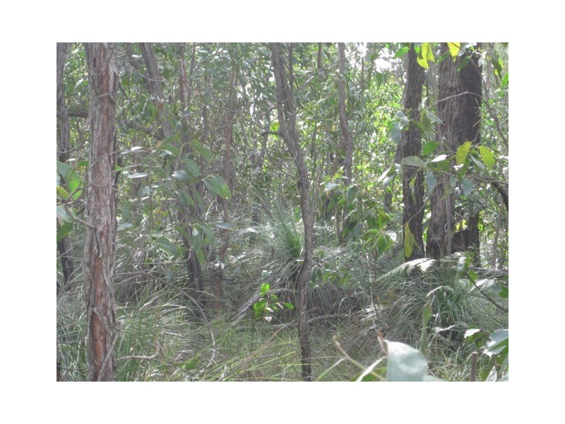 Lot 41, 1209 Duckinwilla Road, Duckinwilla QLD 4650