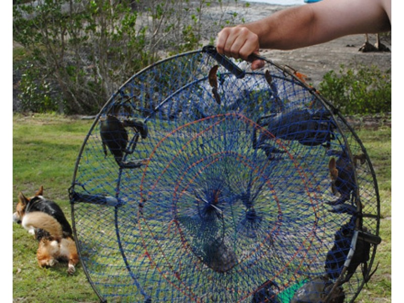 717 Toogoom Road, Toogoom QLD 4655