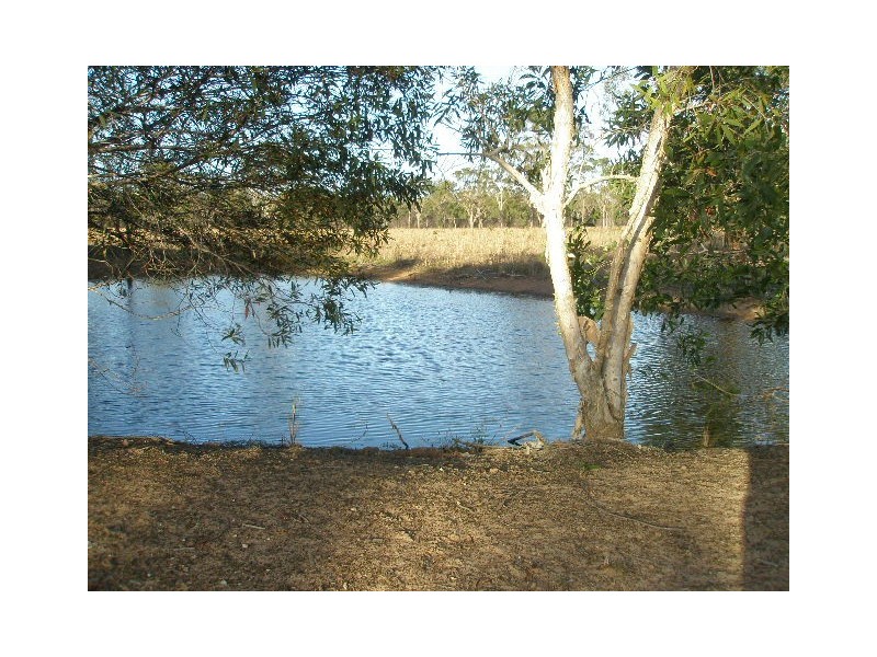 Lot 220 TOOGOOM ROAD, Burgowan QLD 4659