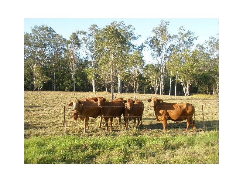 Lot 220 TOOGOOM ROAD, Burgowan QLD 4659