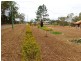 22 Kent St, Torbanlea QLD 4662