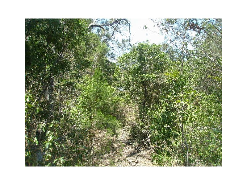 232 Pacific Haven Circuit, Pacific Haven QLD 4659