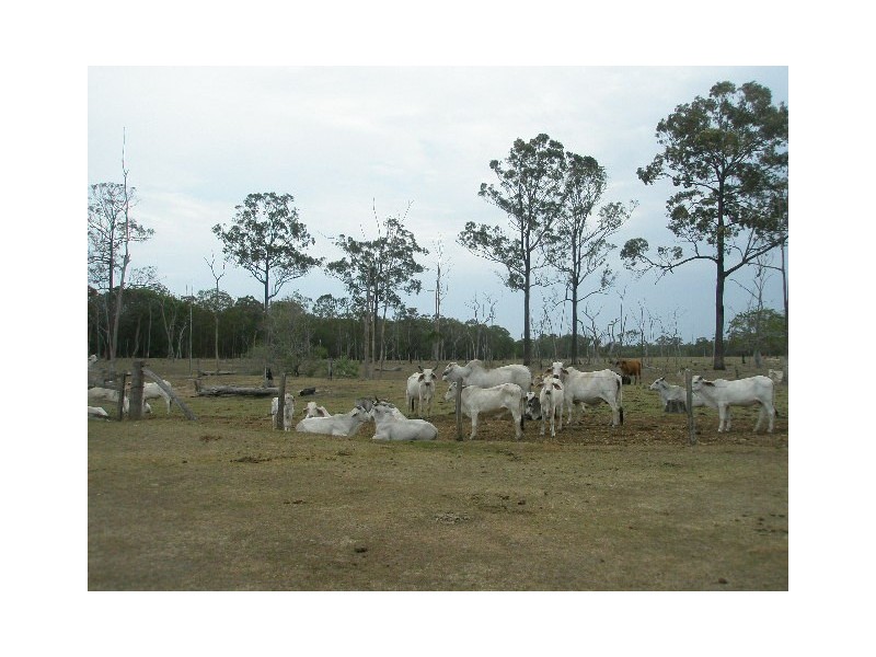 0 Billsborough Road, Howard QLD 4659