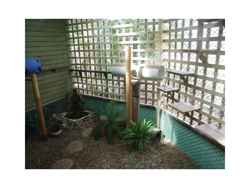 242 Pacific Haven Circuit, Pacific Haven QLD 4659