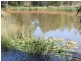 242 Pacific Haven Circuit, Pacific Haven QLD 4659