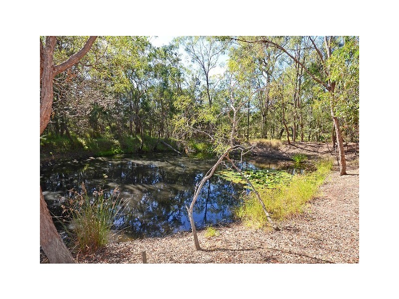 15 Island Close, Pacific Haven QLD 4659