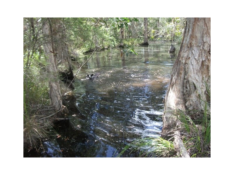 22 Two Twenty Six Road, Duckinwilla QLD 4650