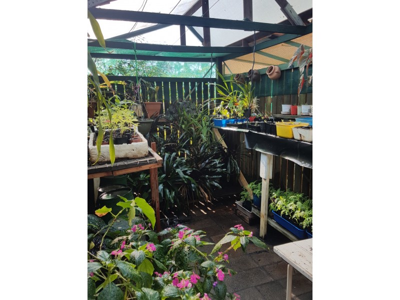 284 Pacific Haven Circuit, Pacific Haven QLD 4659