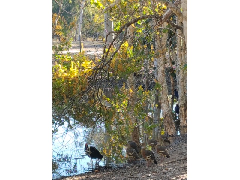 284 Pacific Haven Circuit, Pacific Haven QLD 4659