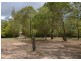 10 Coral Ave, Pacific Haven QLD 4659