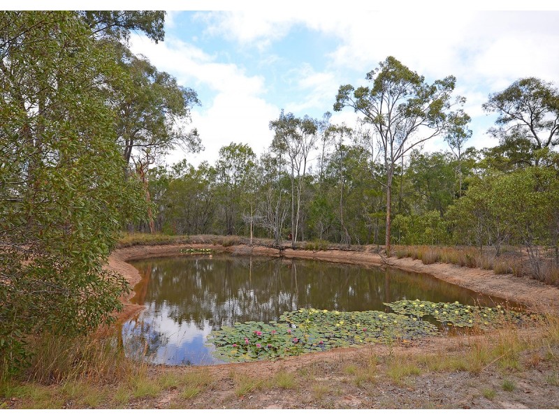 10 Coral Ave, Pacific Haven QLD 4659