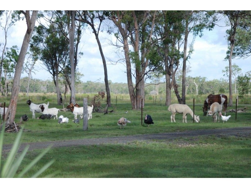 805 Burrum Heads Road, Burrum River QLD 4659