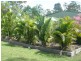 16 Diamantina Drive, Howard QLD 4659