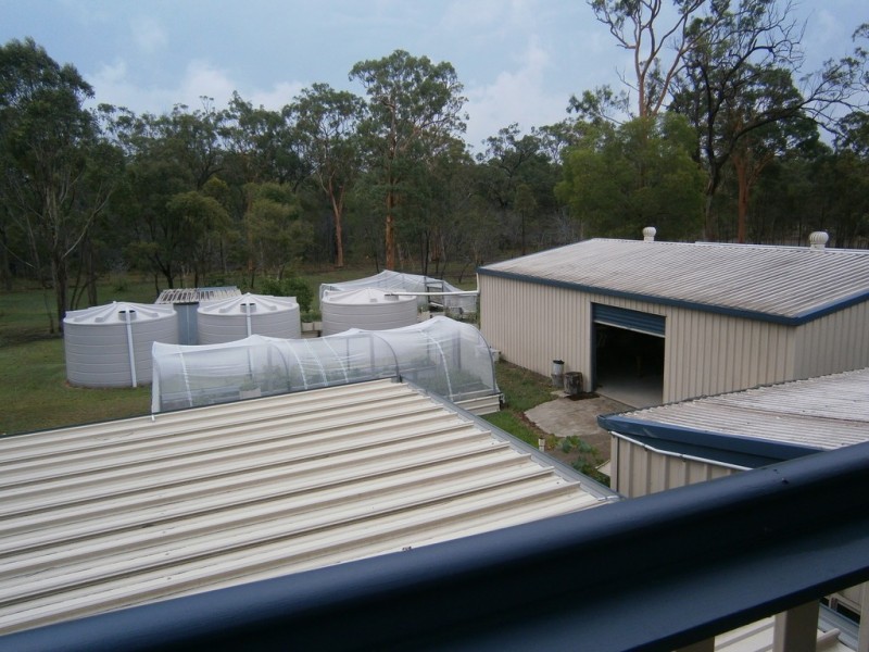 46 Raintree Avenue, Burrum Heads QLD 4659