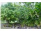 49 Dreamtime Avenue, Burrum Heads QLD 4659
