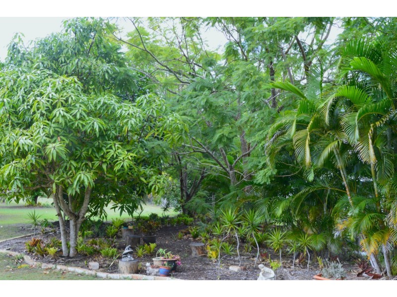 49 Dreamtime Avenue, Burrum Heads QLD 4659