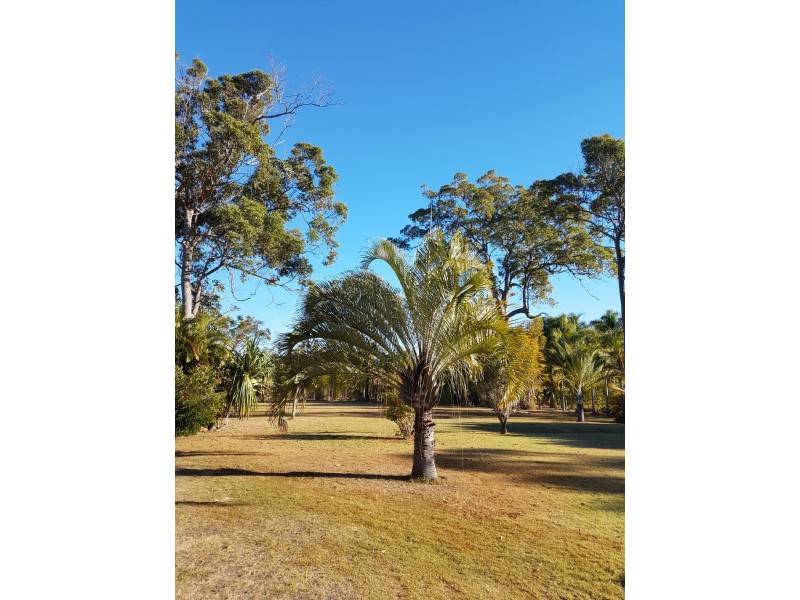 290 Pacific Haven Circuit, Pacific Haven QLD 4659