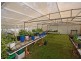 31 Marina Drive, Pacific Haven QLD 4659