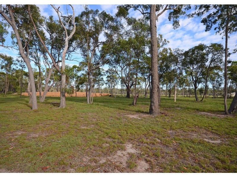 31 Marina Drive, Pacific Haven QLD 4659