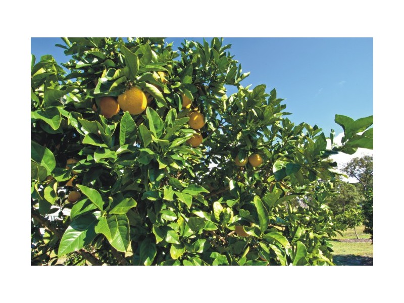 30 Dreamtime Ave, Burrum Heads QLD 4659