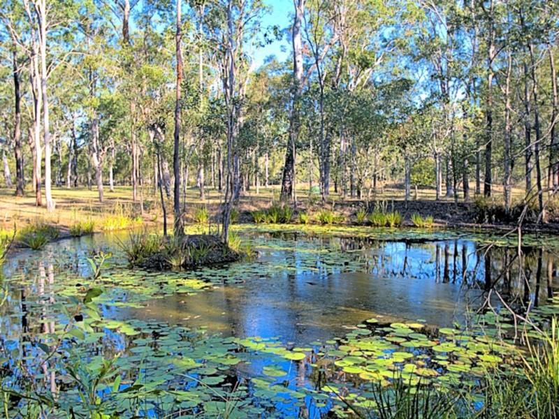 143 Burrum River Rd, Torbanlea QLD 4662
