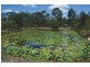 62 Melinda Rd, Torbanlea QLD 4662