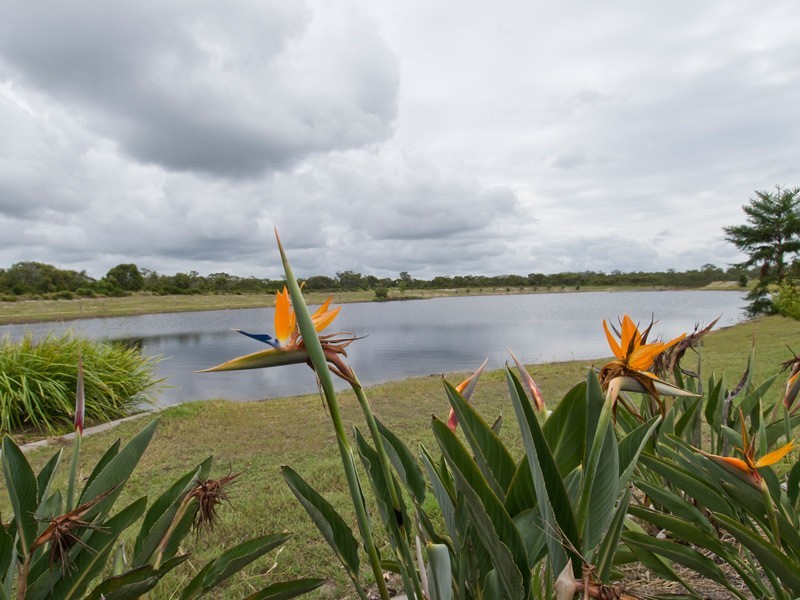 12 Honey Myrtle Close, Burrum Heads QLD 4659