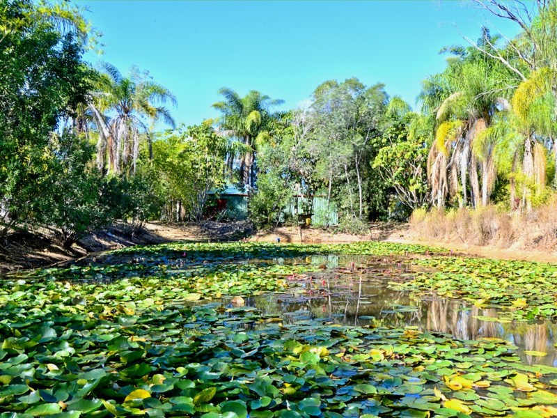 288 Pacific Haven Circuit, Pacific Haven QLD 4659
