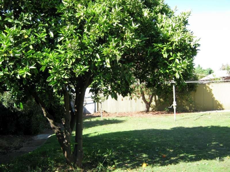 12 Shipton Street, Elizabeth SA 5112