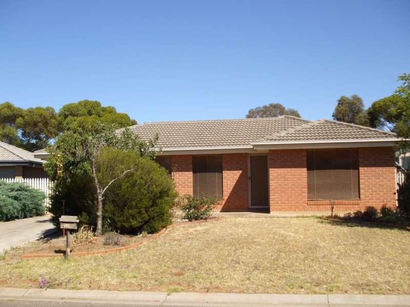 50 Greenfields Road, Andrews Farm SA 5114