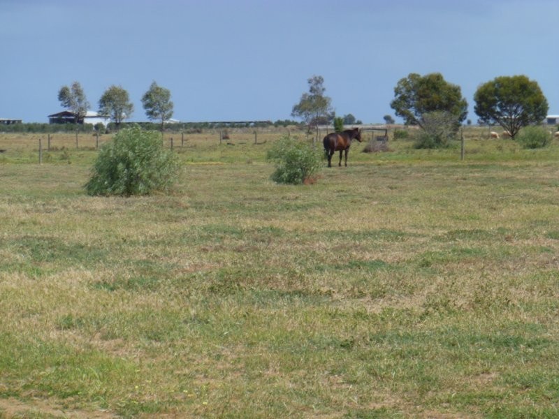 160 Buckland Park Road, Two Wells SA 5501