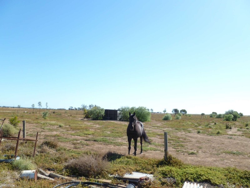 160 Buckland Park Road, Two Wells SA 5501