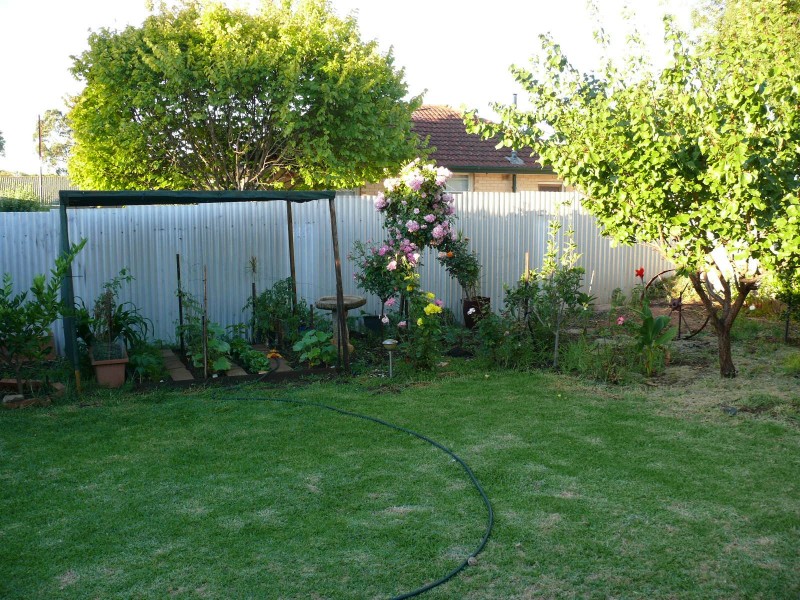 5 Bowood Street, Elizabeth Park SA 5113