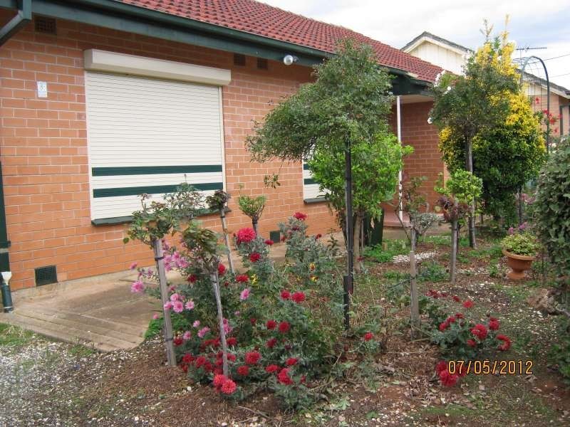 5 Bowood Street, Elizabeth Park SA 5113