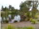 47 Iberia Way, Smithfield SA 5114