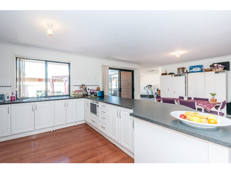 102 Caulfield Crescent, Paralowie SA 5108