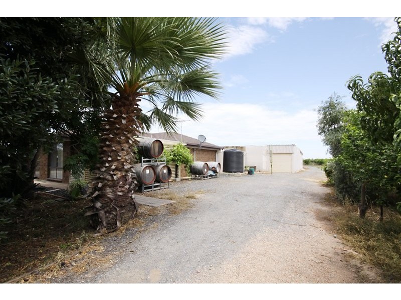 37 Pederick Road, Lewiston SA 5501