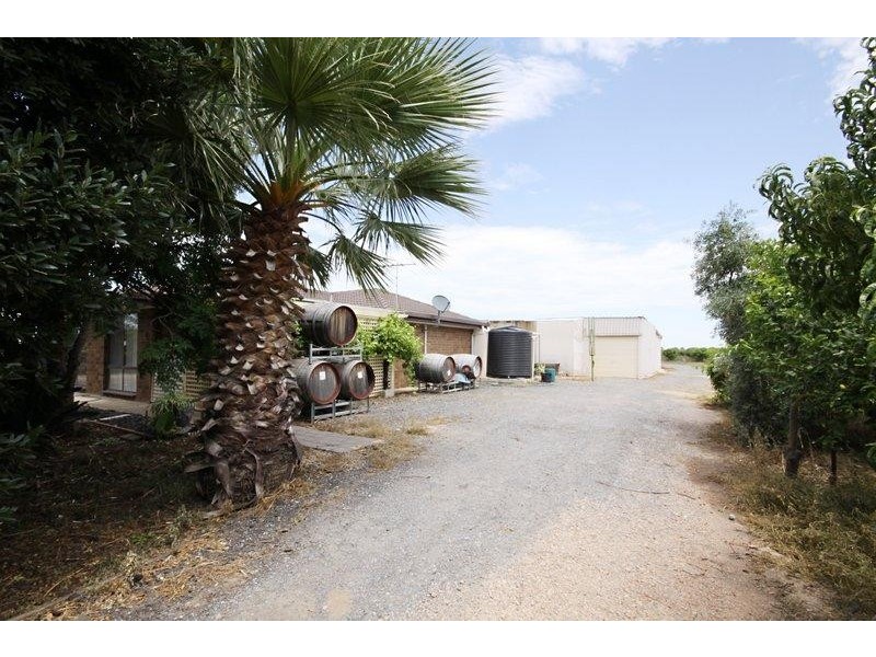 37 Pederick Road, Lewiston SA 5501