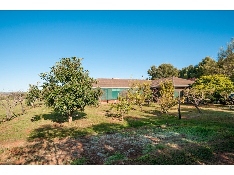 50 Julian Road, Macdonald Park SA 5121