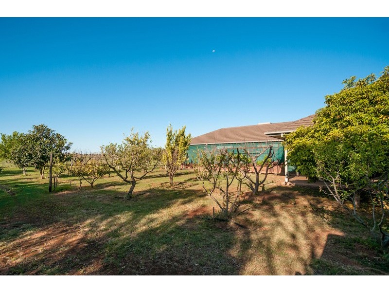 50 Julian Road, Macdonald Park SA 5121