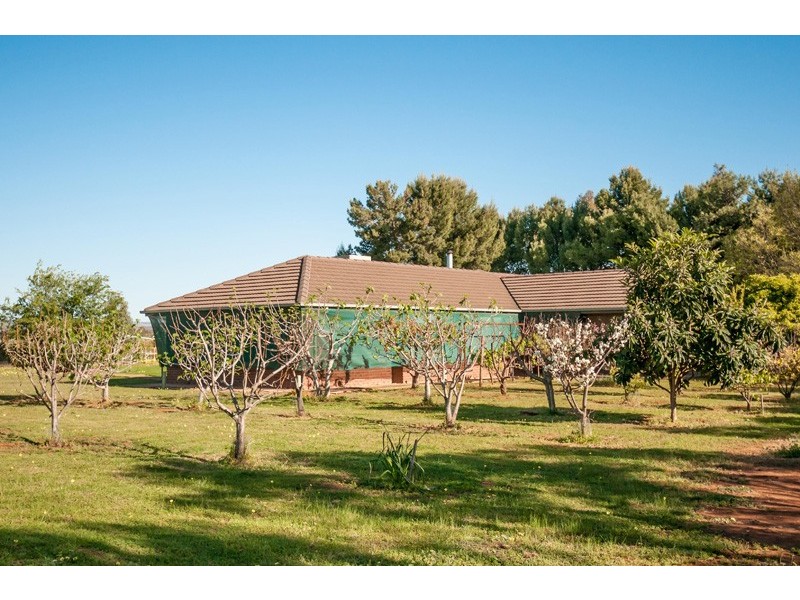 50 Julian Road, Macdonald Park SA 5121