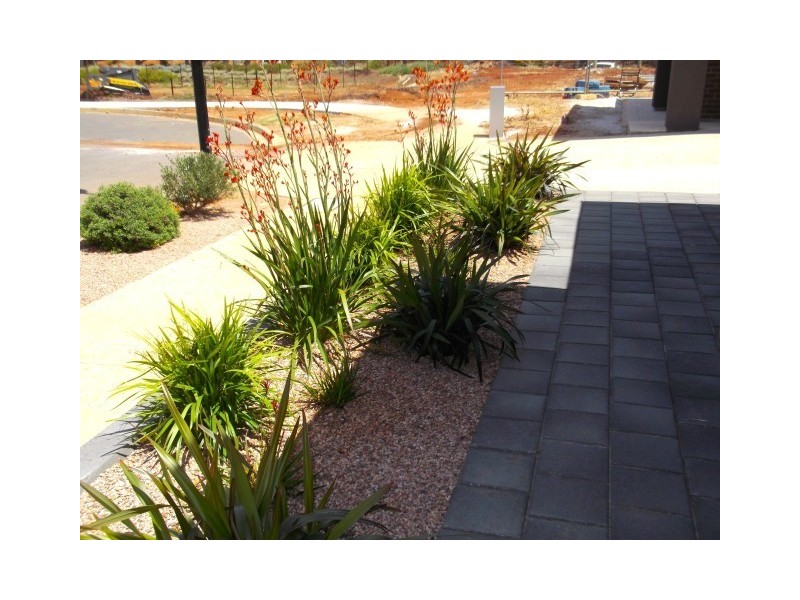 NO LONGER AVAILABLE, Blakeview SA 5114