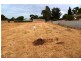 21 Queen Street, Smithfield SA 5114