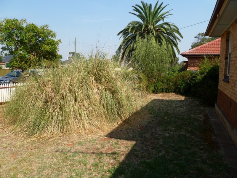 41 Forrestall Road, Elizabeth Downs SA 5113