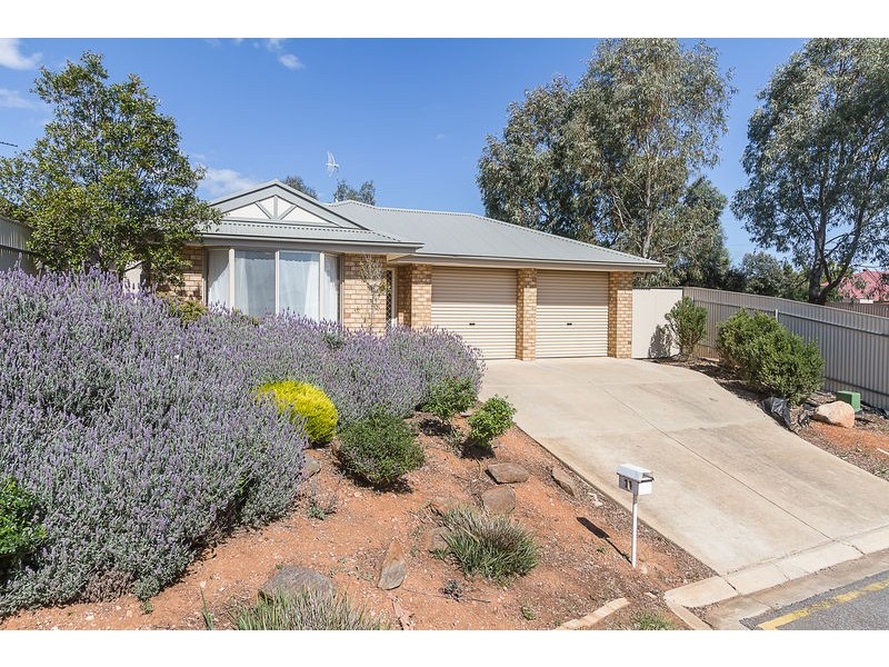 11 Chestnut Grove, Blakeview SA 5114