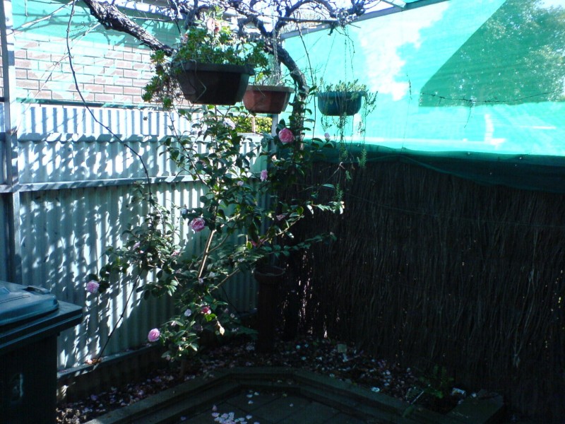 NO LONGER AVAILABLE, Firle SA 5070