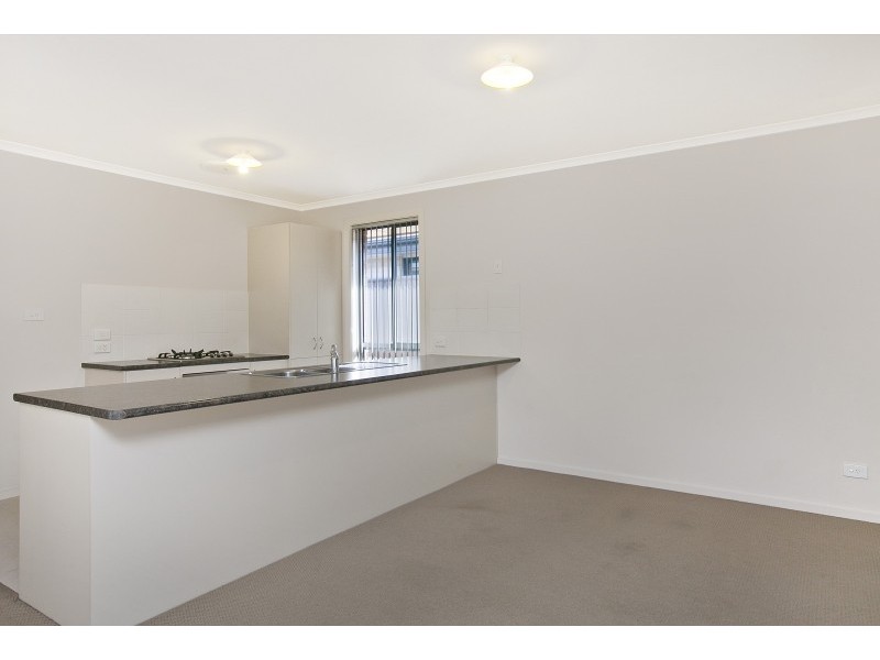 45 Riesling Crescent, Andrews Farm SA 5114