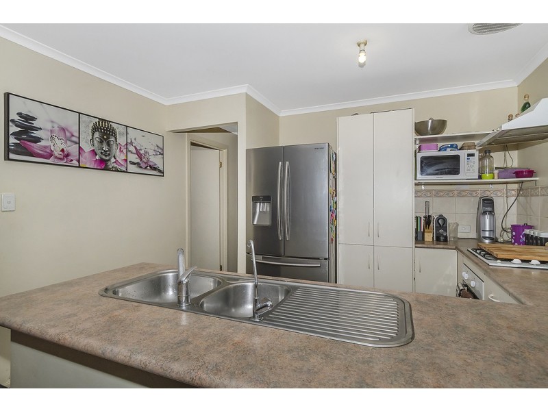 16 Moulds Crescent, Smithfield SA 5114