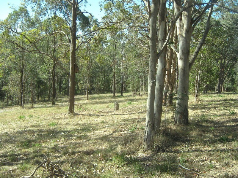 1 Panorama Drive, Cedar Creek QLD 4520