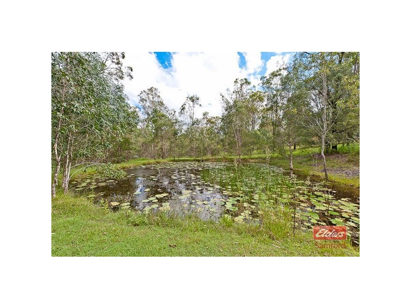 7 Winchester Avenue, Wights Mountain QLD 4520